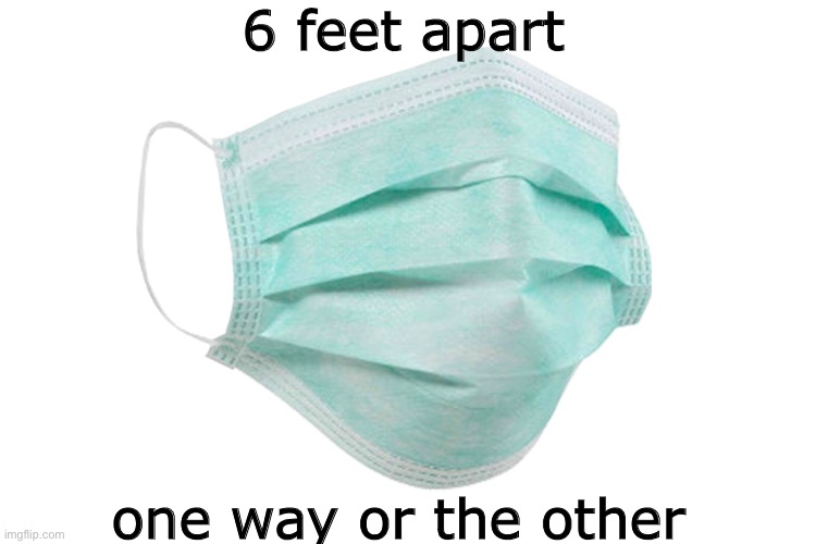 Face mask | 6 feet apart; one way or the other | image tagged in face mask | made w/ Imgflip meme maker