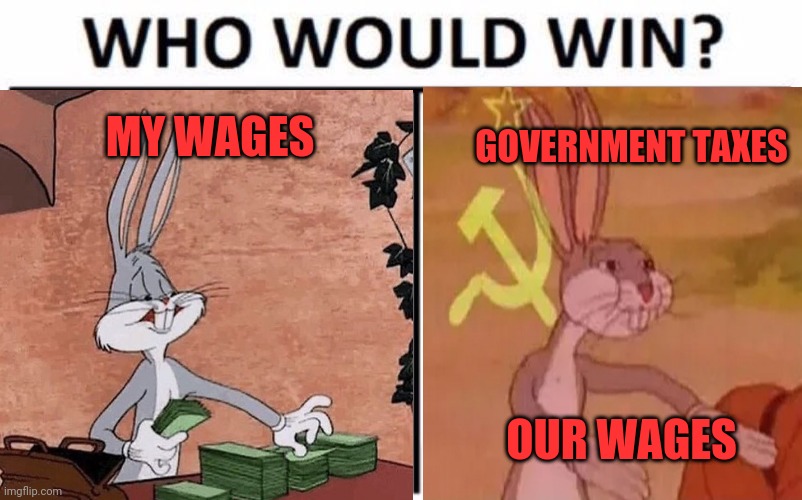 Works | MY WAGES; GOVERNMENT TAXES; OUR WAGES | image tagged in government,bugs,memes,funny,dank | made w/ Imgflip meme maker