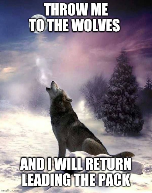 Wolf | THROW ME TO THE WOLVES; AND I WILL RETURN LEADING THE PACK | image tagged in courage wolf | made w/ Imgflip meme maker