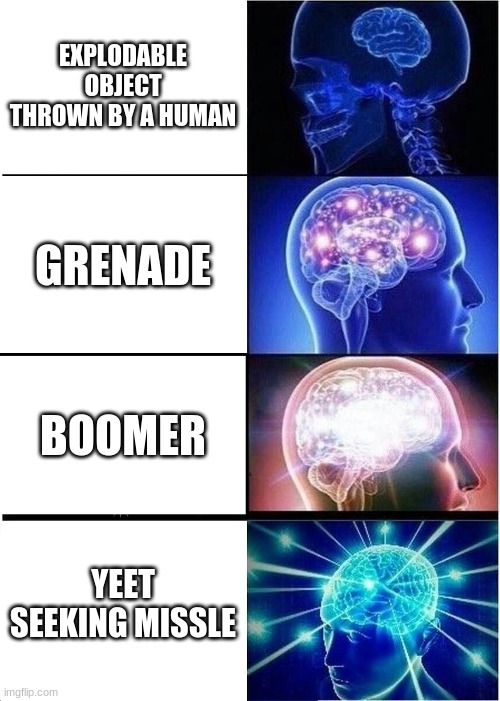 Expanding Brain | EXPLODABLE OBJECT THROWN BY A HUMAN; GRENADE; BOOMER; YEET SEEKING MISSLE | image tagged in memes,expanding brain | made w/ Imgflip meme maker