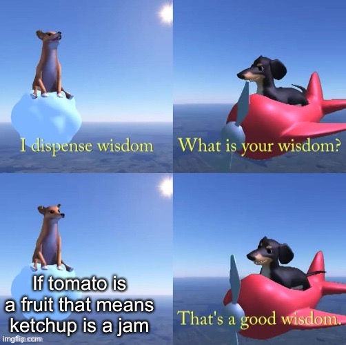 Wisdom dog | If tomato is a fruit that means ketchup is a jam | image tagged in wisdom dog | made w/ Imgflip meme maker