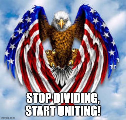 United We Stand! or at least that was how it was meant to be. |  STOP DIVIDING, START UNITING! | image tagged in patriotism | made w/ Imgflip meme maker