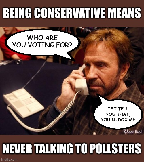 Or, you could lie to them - it's not like they don't lie to you | BEING CONSERVATIVE MEANS; WHO ARE YOU VOTING FOR? IF I TELL YOU THAT, YOU'LL DOX ME; NEVER TALKING TO POLLSTERS | image tagged in memes,chuck norris phone,chuck norris | made w/ Imgflip meme maker