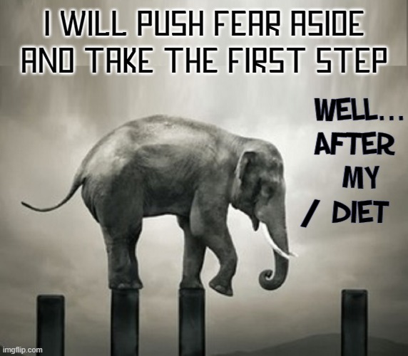 Baby Elephant's First Step |  I Will Push Fear aside
and take the first step; WELL...
AFTER 
MY
DIET; / | image tagged in vince vance,first step,fear,memes,elephants,dieting | made w/ Imgflip meme maker