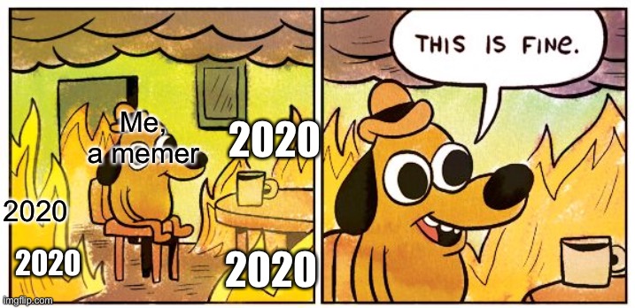 This is fine | 2020; Me, a memer; 2020; 2020; 2020 | image tagged in memes,this is fine | made w/ Imgflip meme maker