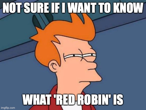 Futurama Fry Meme | NOT SURE IF I WANT TO KNOW WHAT 'RED ROBIN' IS | image tagged in memes,futurama fry | made w/ Imgflip meme maker