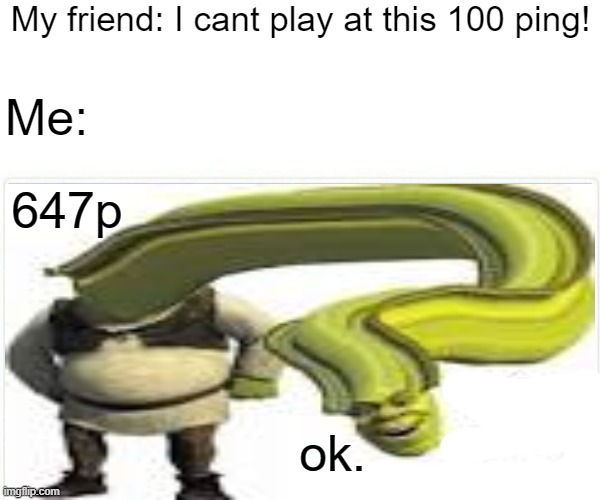 My friend: I cant play at this 100 ping! Me:; 647p; ok. | image tagged in shrek | made w/ Imgflip meme maker