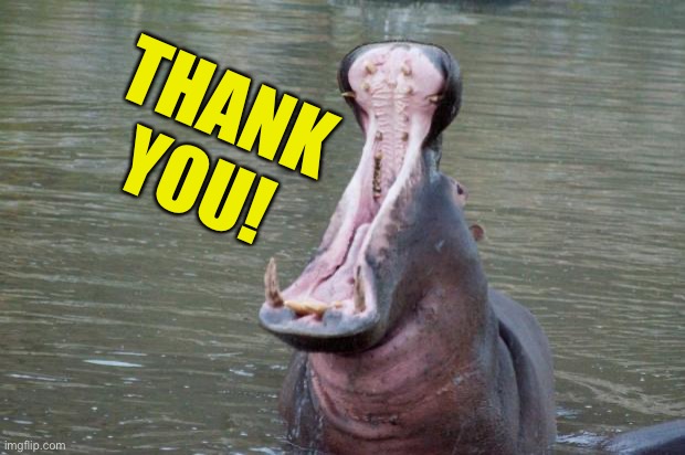 Hippo Mouth Open | THANK YOU! | image tagged in hippo mouth open | made w/ Imgflip meme maker