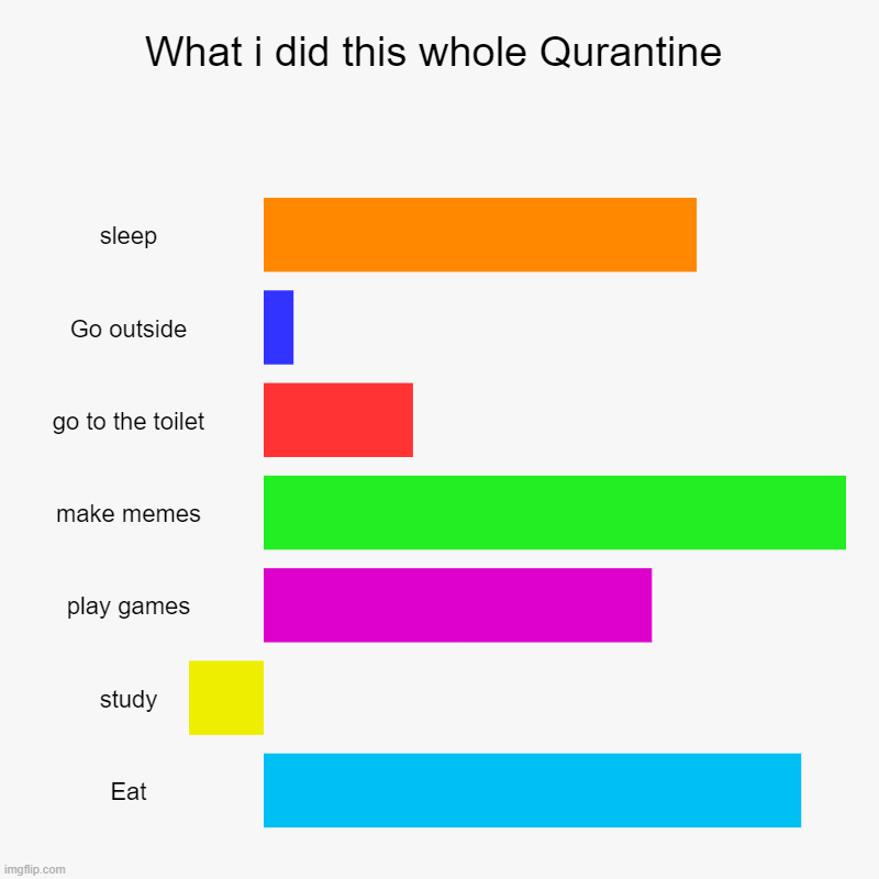 What i did this whole Qurantine | sleep, Go outside, go to the toilet, make memes, play games, study, Eat | image tagged in charts,bar charts | made w/ Imgflip chart maker