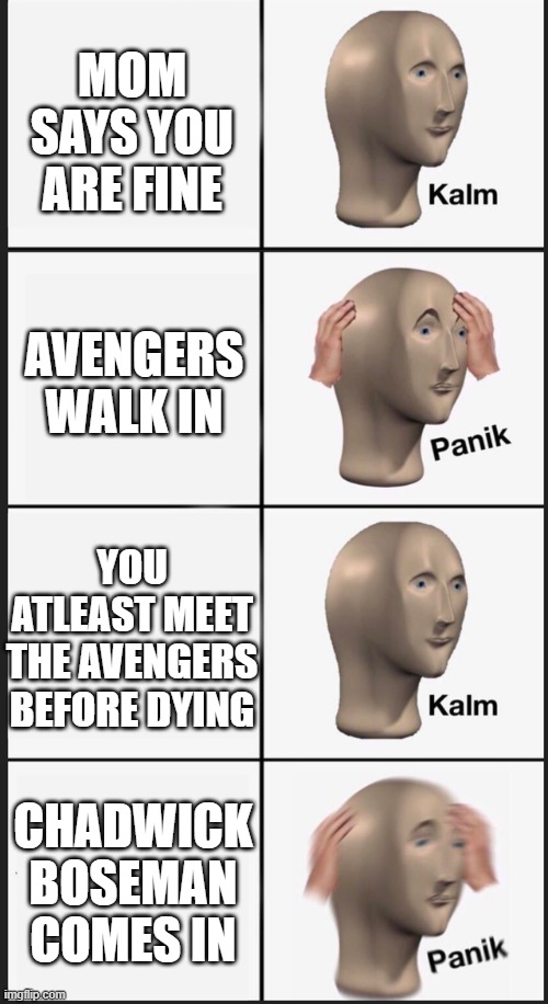 MOM SAYS YOU ARE FINE; AVENGERS WALK IN; YOU ATLEAST MEET THE AVENGERS BEFORE DYING; CHADWICK BOSEMAN COMES IN | image tagged in memes,panik kalm panik,memes | made w/ Imgflip meme maker