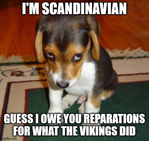 Sad puppy | I'M SCANDINAVIAN GUESS I OWE YOU REPARATIONS FOR WHAT THE VIKINGS DID | image tagged in sad puppy | made w/ Imgflip meme maker