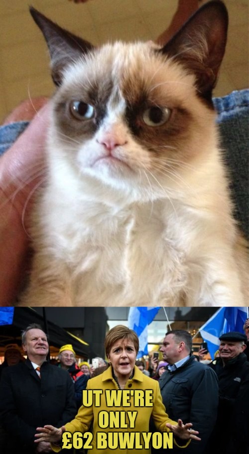 UT WE'RE ONLY £62 BUWLYON | image tagged in memes,grumpy cat,scotland,peace,lets start again,back boris uk xx | made w/ Imgflip meme maker