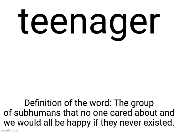 Teenagers are the most useless things on Earth and the humanity would be better without them | teenager; Definition of the word: The group of subhumans that no one cared about and we would all be happy if they never existed. | image tagged in blank white template,teenagers | made w/ Imgflip meme maker