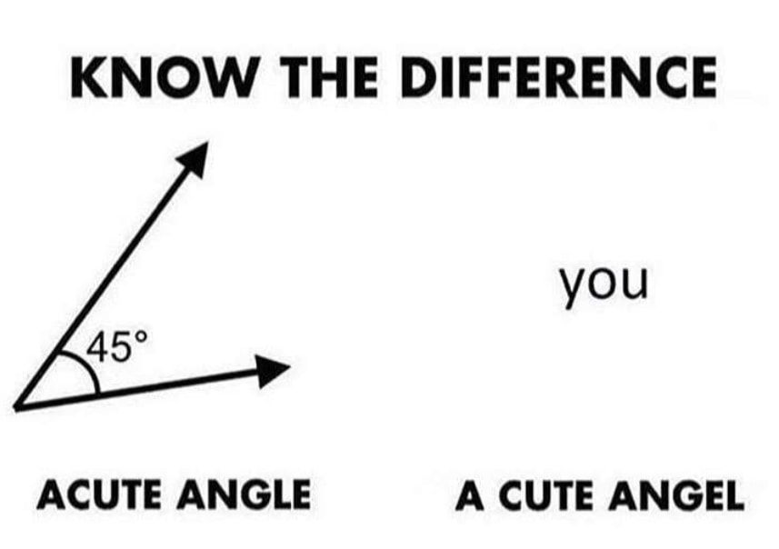 Acute Angle, A Cute Angel Blank Meme Template