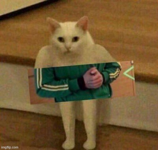 cursedcat | image tagged in cursedcat,weird | made w/ Imgflip meme maker