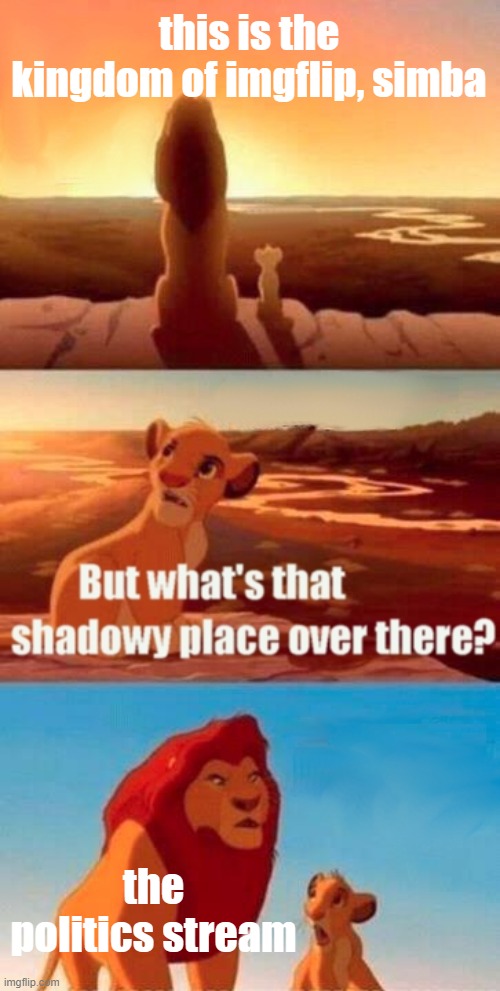 Simba Shadowy Place | this is the kingdom of imgflip, simba; the politics stream | image tagged in memes,simba shadowy place | made w/ Imgflip meme maker