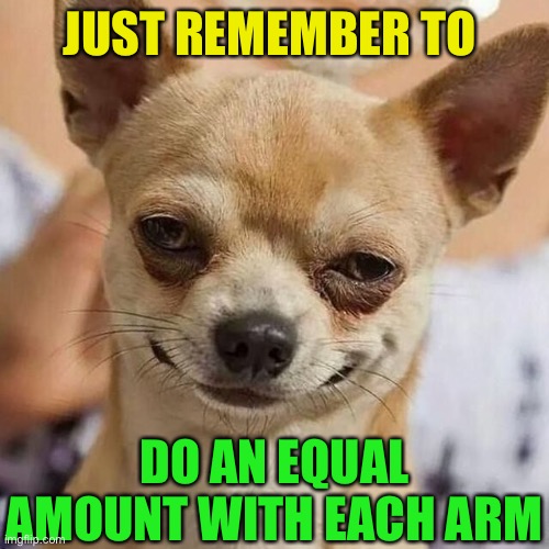 Smirking Dog | JUST REMEMBER TO DO AN EQUAL AMOUNT WITH EACH ARM | image tagged in smirking dog | made w/ Imgflip meme maker