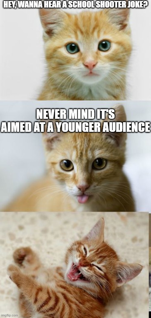 Bad Pun Cat | HEY, WANNA HEAR A SCHOOL SHOOTER JOKE? NEVER MIND IT'S AIMED AT A YOUNGER AUDIENCE | image tagged in bad pun cat,dark humor,funny | made w/ Imgflip meme maker