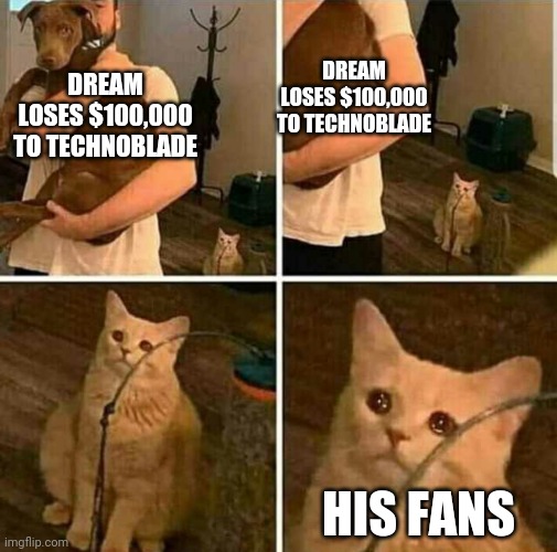 Betrayed cat | DREAM LOSES $100,000 TO TECHNOBLADE; DREAM LOSES $100,000 TO TECHNOBLADE; HIS FANS | image tagged in betrayed cat | made w/ Imgflip meme maker