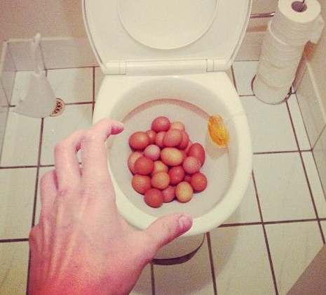 Toilet Eggs Blank Meme Template