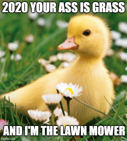 TO CUTE | 2020 YOUR ASS IS GRASS; AND I'M THE LAWN MOWER | image tagged in duck flowers cute,memes,funny,cute | made w/ Imgflip meme maker