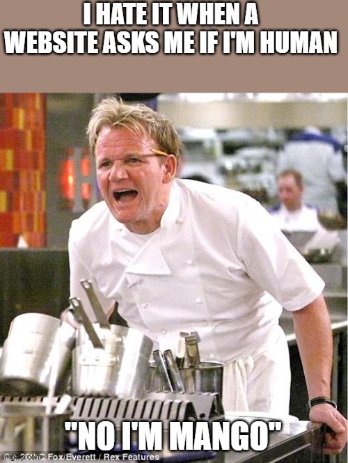 Captcha be like | I HATE IT WHEN A WEBSITE ASKS ME IF I'M HUMAN; "NO I'M MANGO" | image tagged in memes,chef gordon ramsay,captcha | made w/ Imgflip meme maker