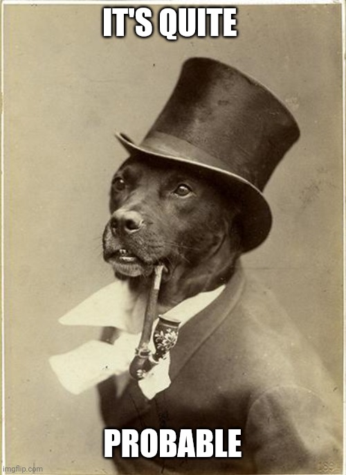 Old Money Dog | IT'S QUITE PROBABLE | image tagged in old money dog | made w/ Imgflip meme maker