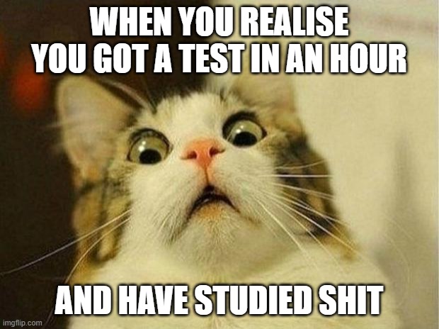 Scared Cat Meme | WHEN YOU REALISE YOU GOT A TEST IN AN HOUR; AND HAVE STUDIED SHIT | image tagged in memes,scared cat | made w/ Imgflip meme maker