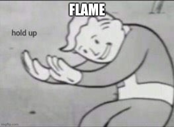 Fallout Hold Up | FLAME | image tagged in fallout hold up | made w/ Imgflip meme maker