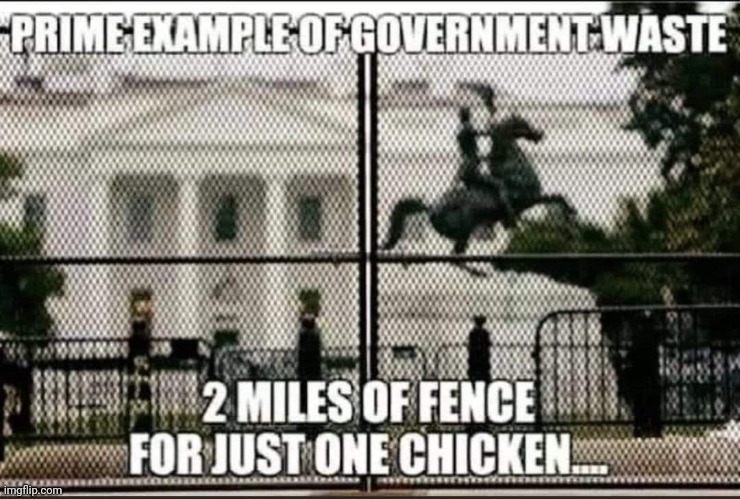 image tagged in trump wall,chicken | made w/ Imgflip meme maker
