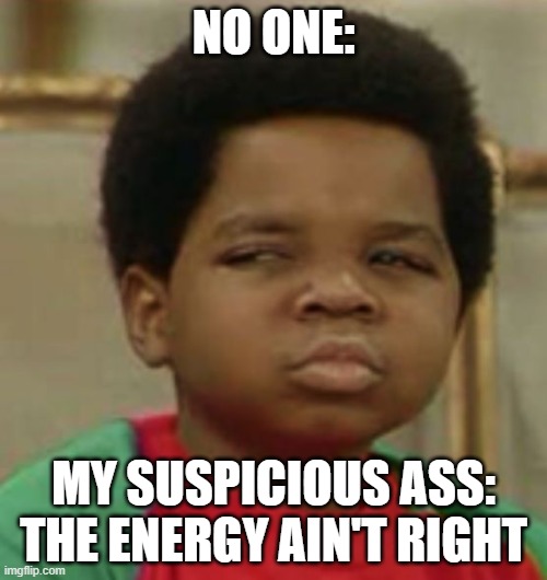 Suspicious | NO ONE:; MY SUSPICIOUS ASS: THE ENERGY AIN'T RIGHT | image tagged in suspicious | made w/ Imgflip meme maker