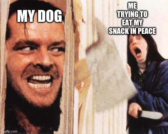 Here's jonny | MY DOG; ME TRYING TO EAT MY SNACK IN PEACE | image tagged in here's jonny | made w/ Imgflip meme maker