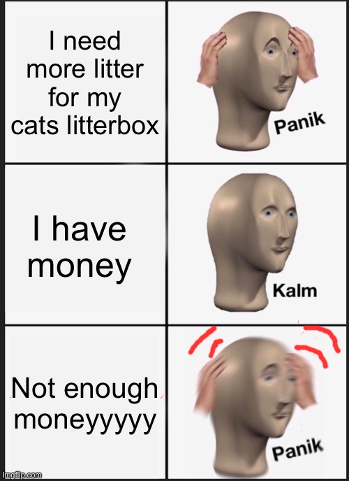 Panik Kalm Panik | I need more litter for my cats litterbox; I have money; Not enough moneyyyyy | image tagged in memes,panik kalm panik | made w/ Imgflip meme maker