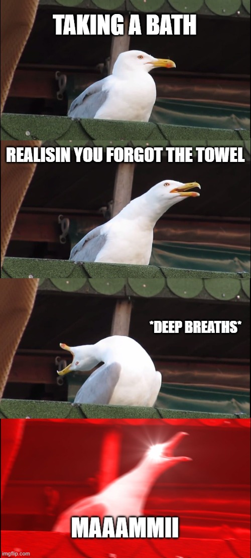 Inhaling Seagull Meme | TAKING A BATH; REALISIN YOU FORGOT THE TOWEL; *DEEP BREATHS*; MAAAMMII | image tagged in memes,inhaling seagull | made w/ Imgflip meme maker