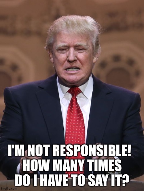 Donald Trump | I'M NOT RESPONSIBLE!  
HOW MANY TIMES DO I HAVE TO SAY IT? | image tagged in donald trump | made w/ Imgflip meme maker