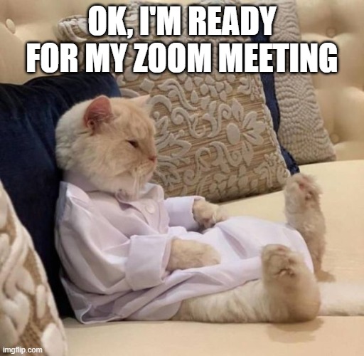 Average office day at home | OK, I'M READY FOR MY ZOOM MEETING | image tagged in funny,zoom,office humor,pandemic,quarantine,coronavirus | made w/ Imgflip meme maker