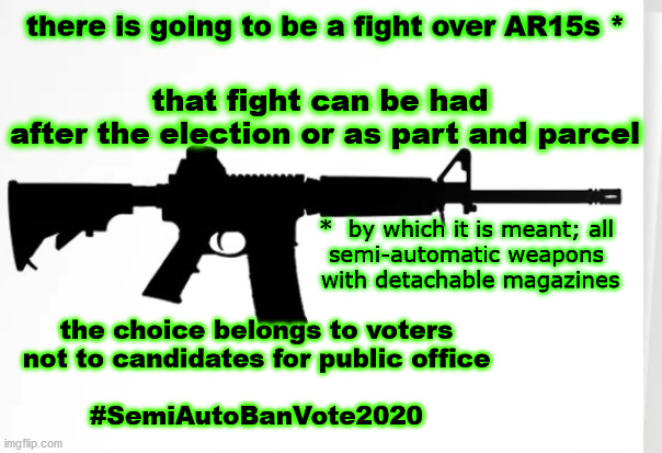 fight over AR15s | there is going to be a fight over AR15s *; that fight can be had 
after the election or as part and parcel; *  by which it is meant; all 
semi-automatic weapons 
with detachable magazines; the choice belongs to voters
not to candidates for public office
 
#SemiAutoBanVote2020 | image tagged in hashtag semiautobanvote2020 | made w/ Imgflip meme maker