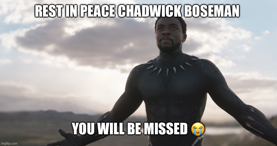 Black Panther Spotlight | REST IN PEACE CHADWICK BOSEMAN; YOU WILL BE MISSED 😭 | image tagged in black panther spotlight,memes,avengers | made w/ Imgflip meme maker