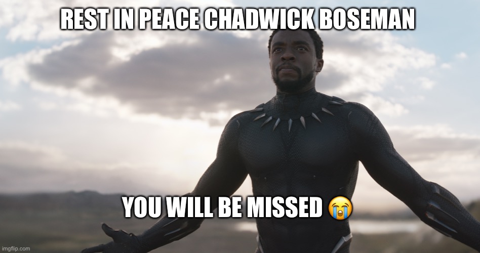 Black Panther Spotlight | REST IN PEACE CHADWICK BOSEMAN; YOU WILL BE MISSED 😭 | image tagged in black panther spotlight | made w/ Imgflip meme maker