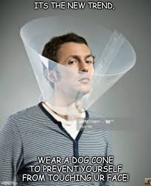 Dog cone | ITS THE NEW TREND, WEAR A DOG CONE TO PREVENT YOURSELF FROM TOUCHING UR FACE! | image tagged in dog cone,funny | made w/ Imgflip meme maker