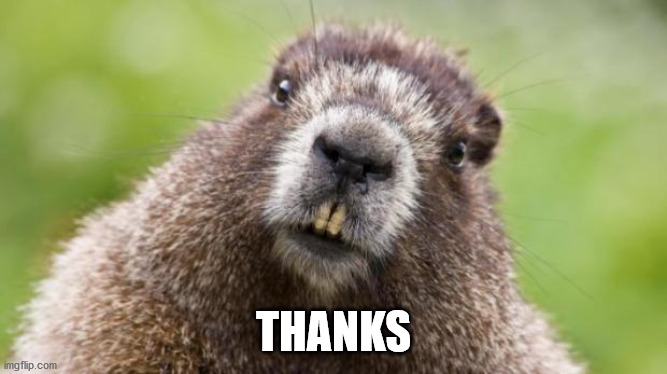 Mr Beaver | THANKS | image tagged in mr beaver | made w/ Imgflip meme maker