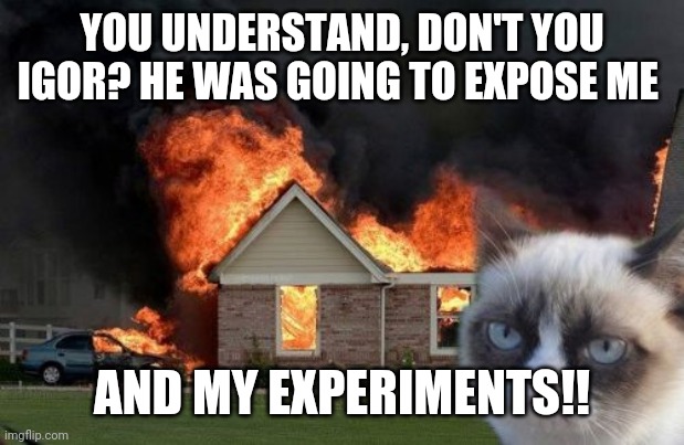 Burn Kitty | YOU UNDERSTAND, DON'T YOU IGOR? HE WAS GOING TO EXPOSE ME; AND MY EXPERIMENTS!! | image tagged in memes,burn kitty,grumpy cat | made w/ Imgflip meme maker