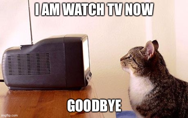 Bye | I AM WATCH TV NOW; GOODBYE | image tagged in cat watching tv | made w/ Imgflip meme maker