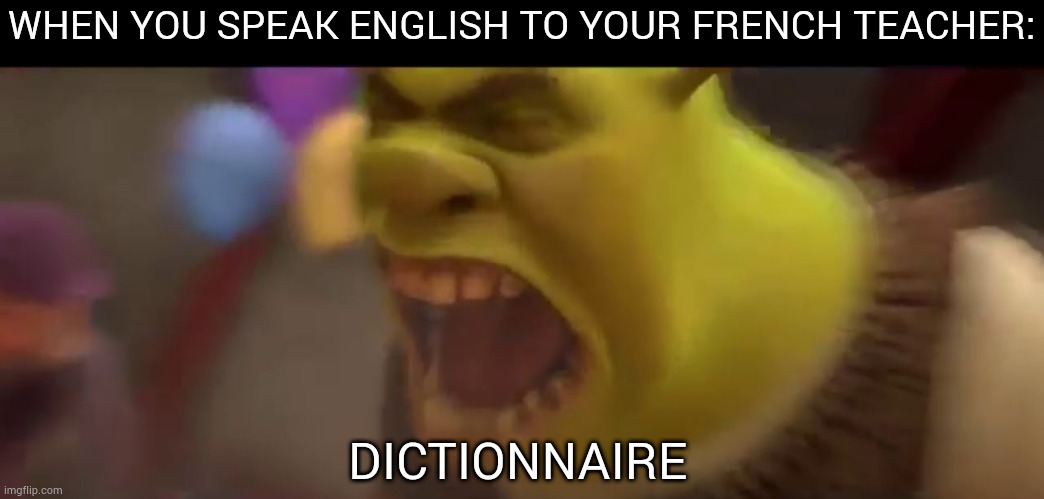 Still cant speak french | WHEN YOU SPEAK ENGLISH TO YOUR FRENCH TEACHER:; DICTIONNAIRE | image tagged in shrek screaming | made w/ Imgflip meme maker