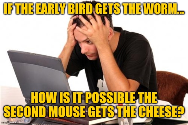 When figures of speech go awry.... | IF THE EARLY BIRD GETS THE WORM... HOW IS IT POSSIBLE THE SECOND MOUSE GETS THE CHEESE? | image tagged in desperate-student,language | made w/ Imgflip meme maker