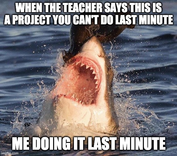 WHEN THE TEACHER SAYS THIS IS A PROJECT YOU CAN'T DO LAST MINUTE; ME DOING IT LAST MINUTE | image tagged in funny | made w/ Imgflip meme maker