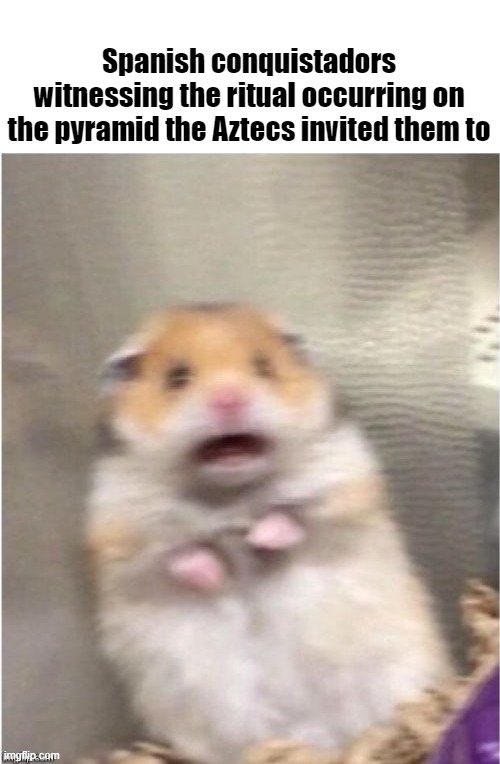 Spanish Conquistadors meme | Spanish conquistadors witnessing the ritual occurring on the pyramid the Aztecs invited them to | image tagged in scared hammy | made w/ Imgflip meme maker