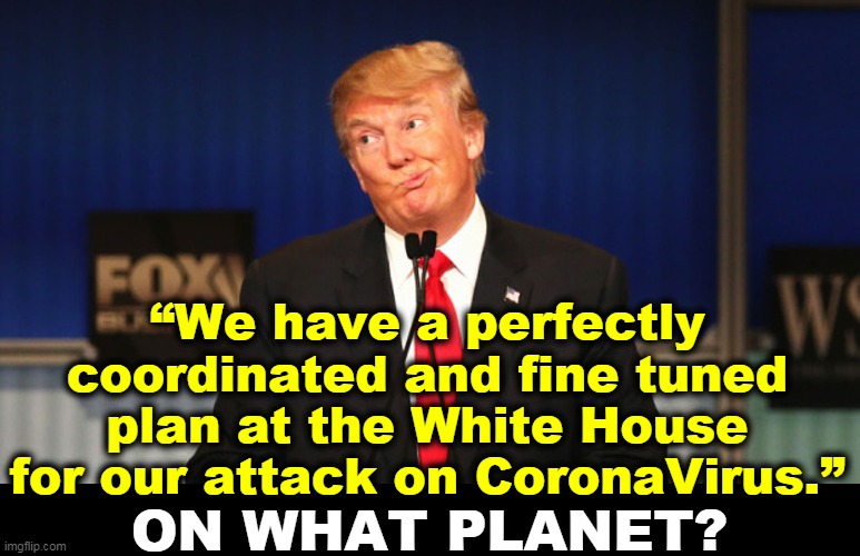 He actually said that. | “We have a perfectly coordinated and fine tuned plan at the White House for our attack on CoronaVirus.”; ON WHAT PLANET? | image tagged in trump silly stupid foolish,trump,covid-19,dumpster fire,incompetence,liar | made w/ Imgflip meme maker