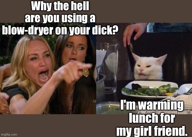 Woman yelling at cat | Why the hell are you using a blow-dryer on your dick? I'm warming lunch for my girl friend. | image tagged in woman yelling at smudge the cat | made w/ Imgflip meme maker