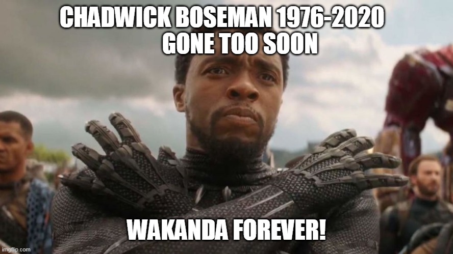 CHADWICK BOSEMAN 1976-2020  

      GONE TOO SOON; WAKANDA FOREVER! | image tagged in black panther | made w/ Imgflip meme maker
